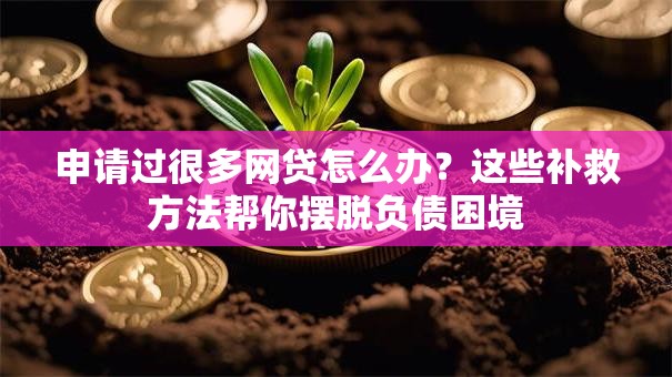 申请过很多网贷怎么办？这些补救方法帮你摆脱负债困境