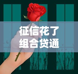征信花了组合贷通过可能性分析：关键因素与应对策略