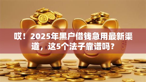 哎！2025年黑户借钱急用最新渠道，这5个法子靠谱吗？