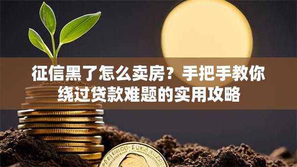征信黑了怎么卖房？手把手教你绕过贷款难题的实用攻略
