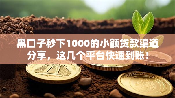 黑口子秒下1000的小额贷款渠道分享，这几个平台快速到账！