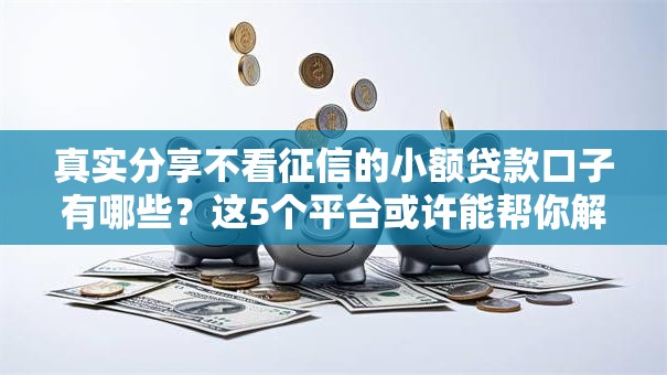 真实分享不看征信的小额贷款口子有哪些？这5个平台或许能帮你解燃眉之急！