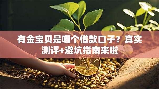 有金宝贝是哪个借款口子？真实测评+避坑指南来啦