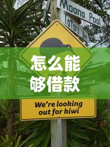 怎么能够借款不上征信呢？这些方法或许能帮到你