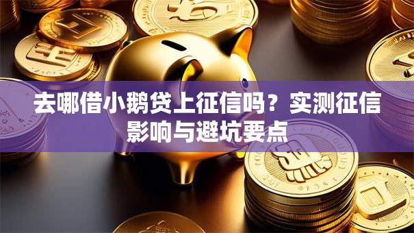 去哪借小鹅贷上征信吗？实测征信影响与避坑要点