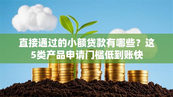 直接通过的小额贷款有哪些？这5类产品申请门槛低到账快