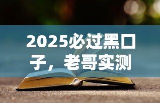 2025必过黑口子，老哥实测干货分享