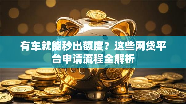 有车就能秒出额度？这些网贷平台申请流程全解析