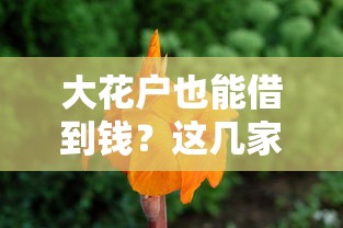 大花户也能借到钱？这几家小额贷平台亲测可用！