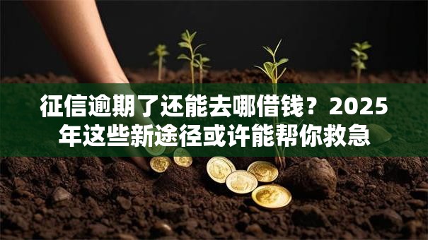征信逾期了还能去哪借钱？2025年这些新途径或许能帮你救急