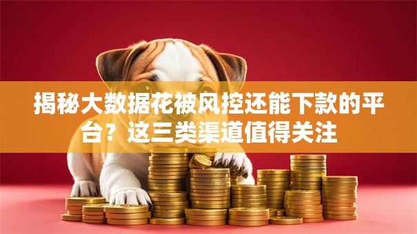 揭秘大数据花被风控还能下款的平台？这三类渠道值得关注