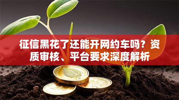 征信黑花了还能开网约车吗？资质审核、平台要求深度解析