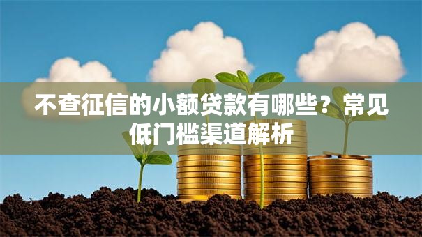 不查征信的小额贷款有哪些？常见低门槛渠道解析