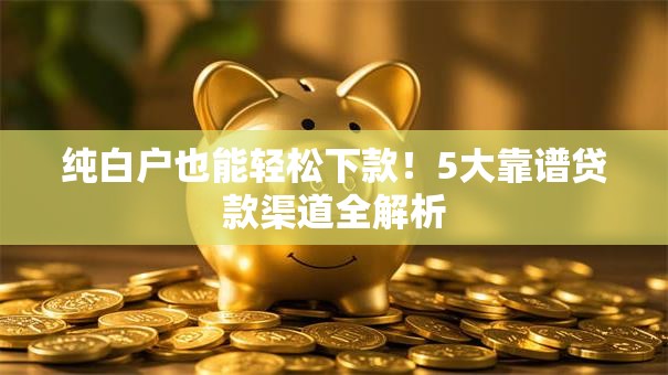 纯白户也能轻松下款！5大靠谱贷款渠道全解析