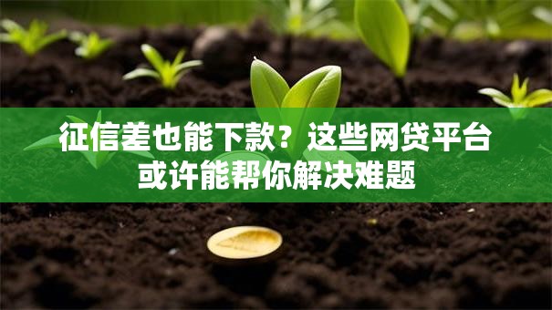 征信差也能下款？这些网贷平台或许能帮你解决难题