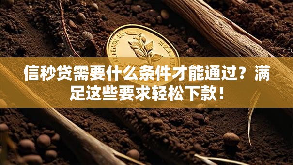 信秒贷需要什么条件才能通过？满足这些要求轻松下款！