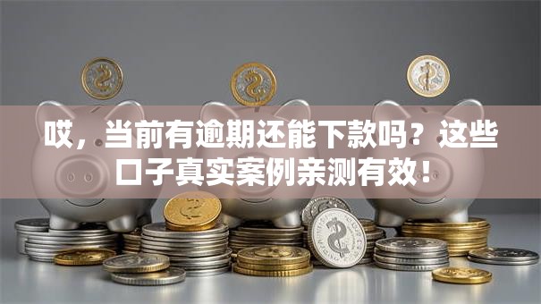 哎，当前有逾期还能下款吗？这些口子真实案例亲测有效！