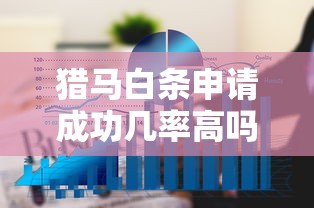猎马白条申请成功几率高吗？真实用户经验+条件解析助你避坑！
