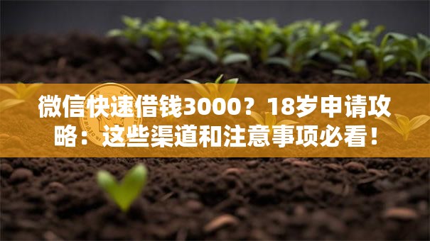 微信快速借钱3000？18岁申请攻略：这些渠道和注意事项必看！