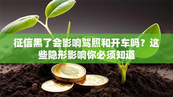 征信黑了会影响驾照和开车吗？这些隐形影响你必须知道