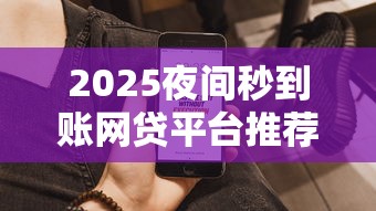2025夜间秒到账网贷平台推荐！免审核放贷渠道真实测评