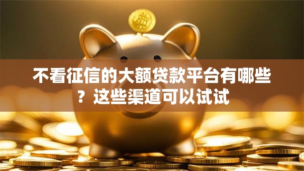 不看征信的大额贷款平台有哪些？这些渠道可以试试