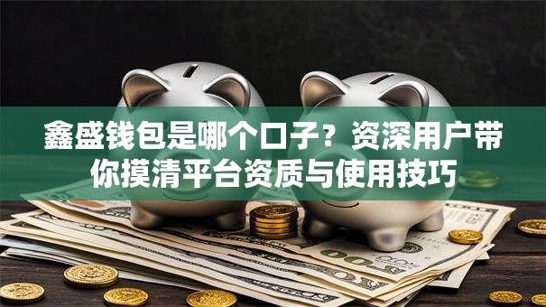 鑫盛钱包是哪个口子？资深用户带你摸清平台资质与使用技巧
