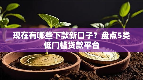 现在有哪些下款新口子?盘点5类低门槛贷款平台 现在有哪些下款新口子?盘点5类低门槛贷款平台