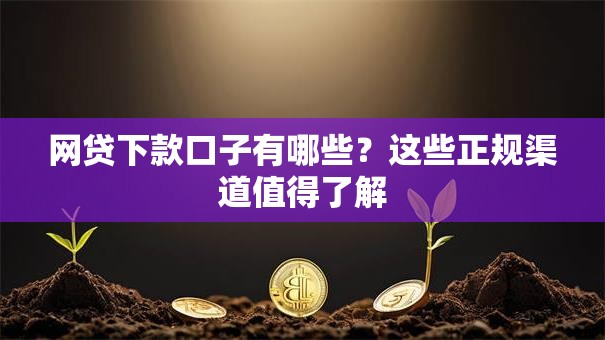 网贷下款口子有哪些？这些正规渠道值得了解