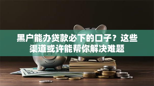 黑户能办贷款必下的口子？这些渠道或许能帮你解决难题