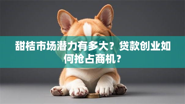 甜桔市场潜力有多大？贷款创业如何抢占商机？