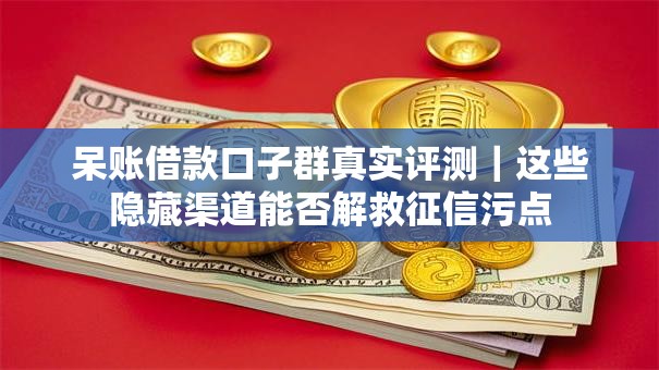 呆账借款口子群真实评测｜这些隐藏渠道能否解救征信污点