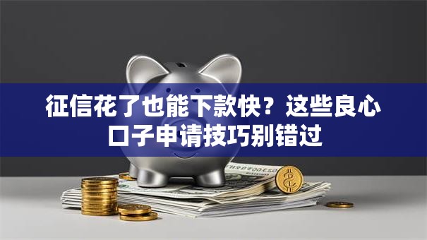 征信花了也能下款快？这些良心口子申请技巧别错过