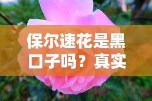 保尔速花是黑口子吗？真实测评+避坑指南全解析