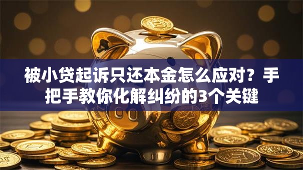 被小贷起诉只还本金怎么应对？手把手教你化解纠纷的3个关键