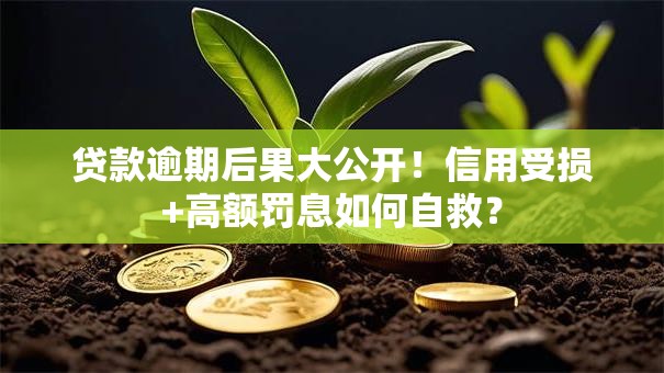 贷款逾期后果大公开!信用受损+高额罚息如何自救? 贷款逾期后果大公开!信用受损+高额罚息如何自救?