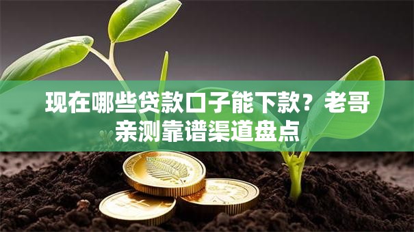 现在哪些贷款口子能下款？老哥亲测靠谱渠道盘点