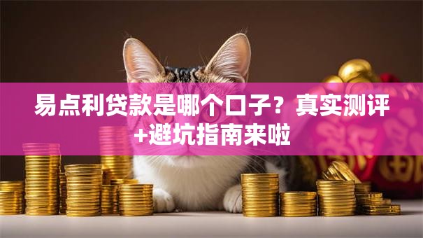 易点利贷款是哪个口子？真实测评+避坑指南来啦