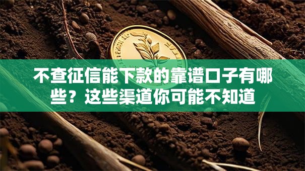 不查征信能下款的靠谱口子有哪些？这些渠道你可能不知道