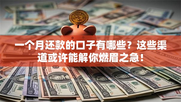 一个月还款的口子有哪些？这些渠道或许能解你燃眉之急！