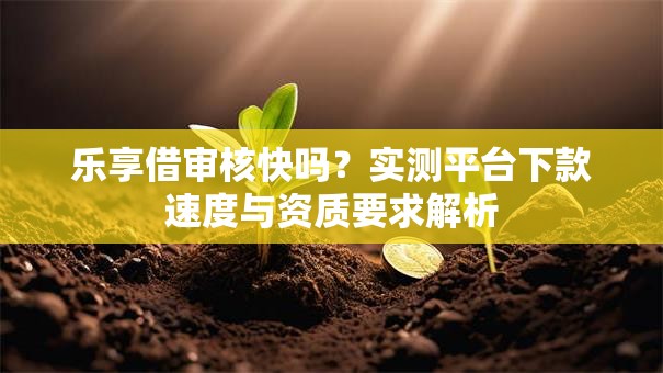 乐享借审核快吗？实测平台下款速度与资质要求解析