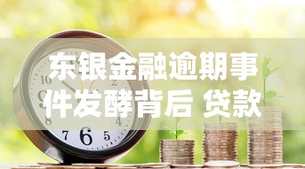 东银金融逾期事件发酵背后 贷款风险防范如何破局？