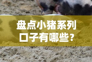 盘点小猪系列口子有哪些？贷款类真实评测+避坑指南