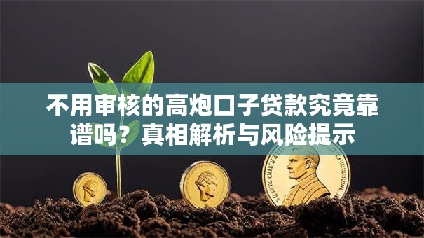 不用审核的高炮口子贷款究竟靠谱吗？真相解析与风险提示