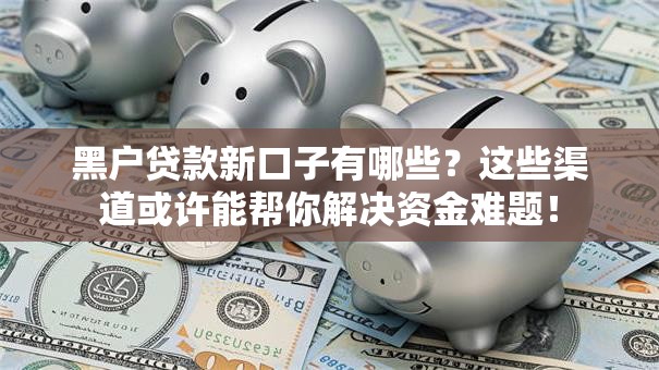 黑户贷款新口子有哪些？这些渠道或许能帮你解决资金难题！