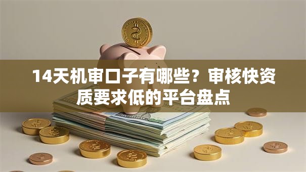 14天机审口子有哪些？审核快资质要求低的平台盘点
