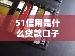 51信用是什么贷款口子？真实评测+申请攻略全解析