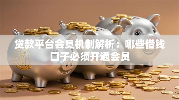 贷款平台会员机制解析：哪些借钱口子必须开通会员