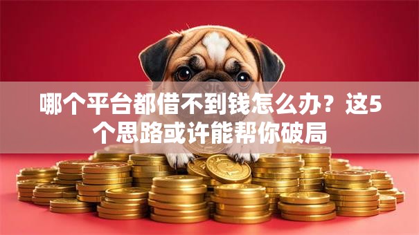 哪个平台都借不到钱怎么办？这5个思路或许能帮你破局