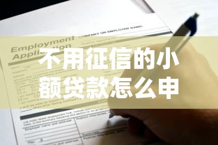 不用征信的小额贷款怎么申请？这些渠道或许能帮到你